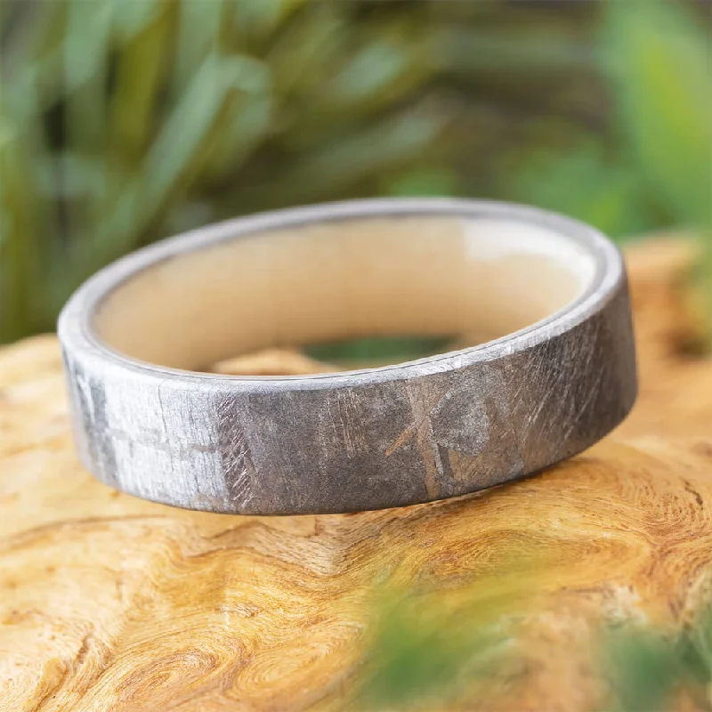 Meteorite Men's Wedding Band With Wood Sleeve